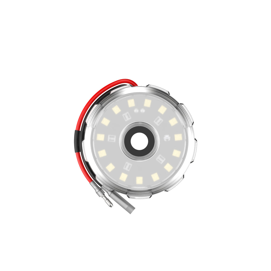 1359_Aux_Light_1.jpg