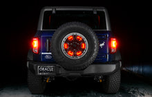 Load image into Gallery viewer, 4211-003_Bronco_7.jpg
