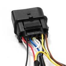 Load image into Gallery viewer, 810003_2.jpg