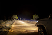 Load image into Gallery viewer, ARBIntensityV2_0818_177-Edit.jpg