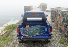 Load image into Gallery viewer, BAKBK_RevolverX2_RAM_LobstersOpen1.jpg