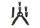Gloss Black Bed Mounted Rapid Strap Tire Carrier with Black Strap