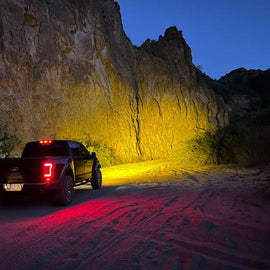 PM411_v7_Raptor Back Amber.jpg