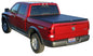 TRX244601_v1_20101103.jpg