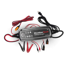 Load image into Gallery viewer, WT_BatteryCharger.jpg