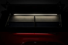 Load image into Gallery viewer, alan4539.jpg