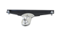 gh-21004.png