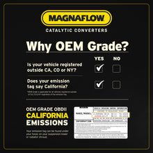 Load image into Gallery viewer, OEM_Grade.jpg