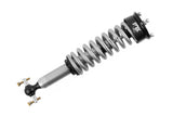 Suspension Shock Absorber